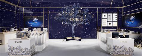 dior online retailer|Dior virtual store.